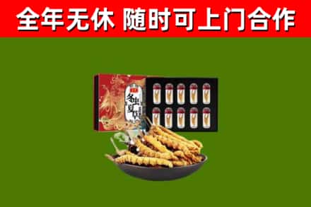 崖州区回收冬虫夏草价格