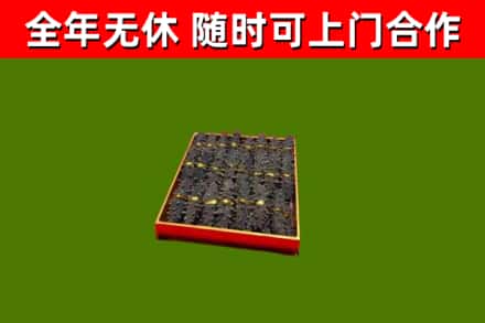 崖州区回收海参